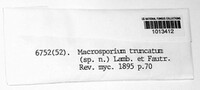 Macrosporium truncatum image